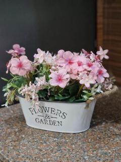 Nature & Calm Stay - 3