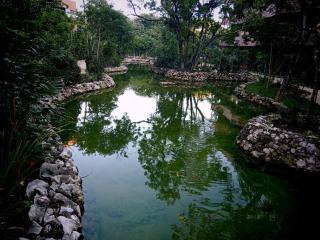 The Empire Amira - 5