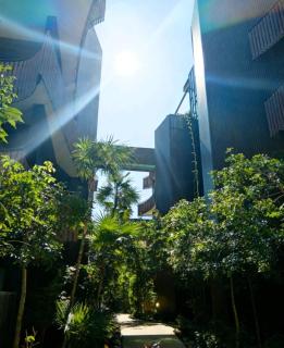 The Empire Amira - 3