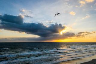 Daytona Beach - 5