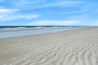 NSB Point East 302 - Just Beachy - 7