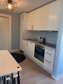 Studio for rent - close to Dyreparken - 7