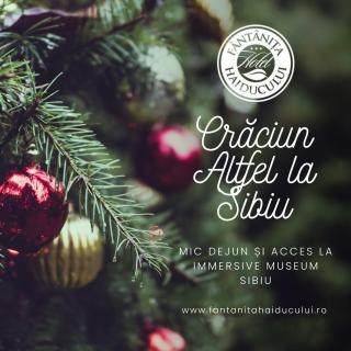 Hotel Fantanita Haiducului - 8