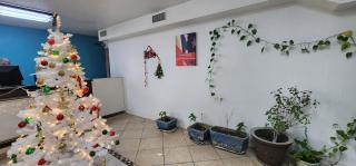 Trade Wind Motel Jacksonville TX US 69 - 2