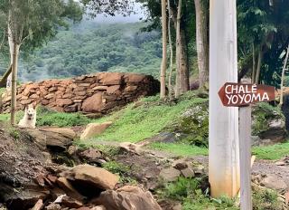 Yoyoma Cabin, Perfect Charming Getaway for Couples - 1