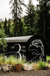 The FISH HAUS A Montana Tiny Cabin Forest Retreat - 2