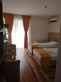 Villa Nika Pestani - Pechtani - 4