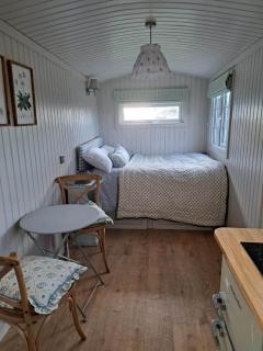 Shepherds Hut Galway - Galway - 4