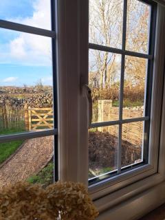 Shepherds Hut Galway - 1