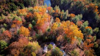Staghorn | Modern Lux Mirror Home | HotTub & Woods - 7
