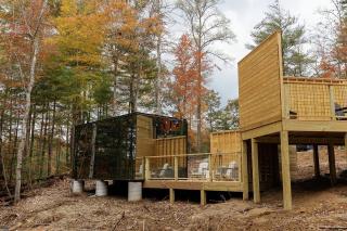 Staghorn | Modern Lux Mirror Home | HotTub & Woods - 4