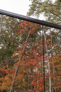 Staghorn | Modern Lux Mirror Home | HotTub & Woods - 2