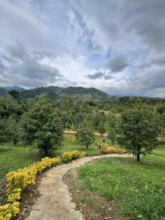 Boonrawd Hill Cafe & Homestay - 9