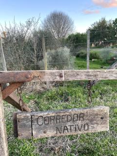 La Cuadra - Puesto de Campo Argentino - 4