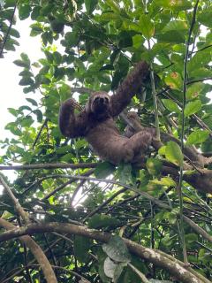 Sitio ecológico para eventos - 7