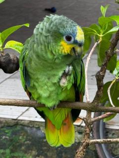 Sitio ecológico para eventos - 2