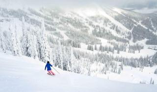European Schweitzer Mountain Chalet with Hot tub - Sandpoint - 0