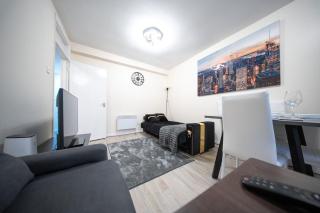 Cosy 2 BR Apt, DLR, London City Airport & ExCeL - 0