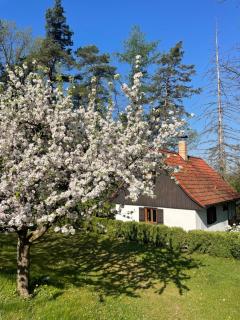 Chata nad řekou Otavou - 0