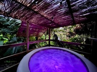 Ti family nature gite studio location de vacances Guadeloupe - Bas de villa - Piscine partagée - 1