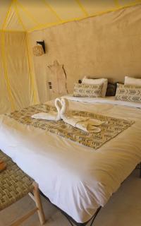 Eternal Luxury Camp - 2