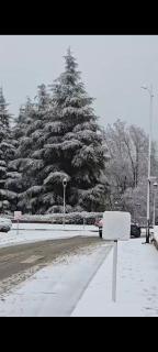 Chalet Haut standing pour les familles seulement - 0