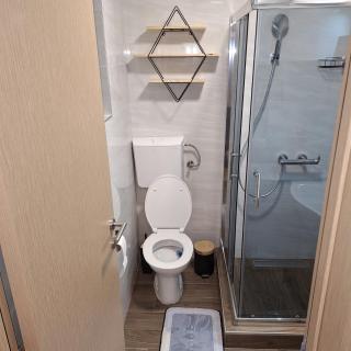 Brvnara Gorska Dama - Sekulić - 3