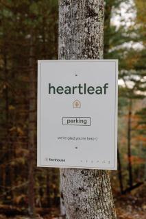 Heartleaf | Modern Lux Mirror Home | HotTub - 3