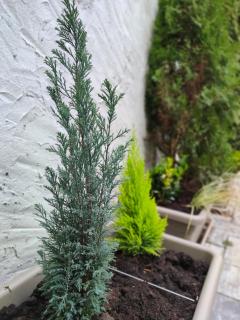 SOLO COSE BELLE! A due passi dal Bernina Express! - 5