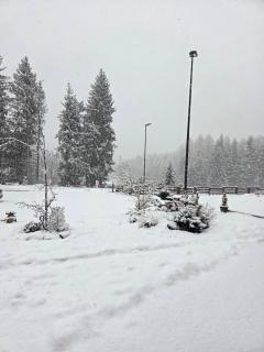 Maison Poluc - Chiaro di Luna - 2