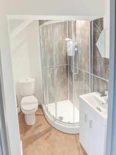 Flat 2 - Eign St Hereford - 2