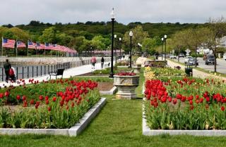 Fish & Ships on River Steps to Ocean, Blvd, Park - 7