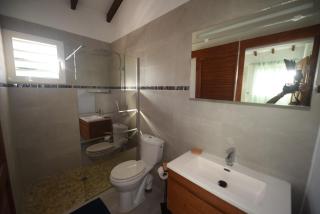 Le Papillon Tropical , aile droite - 9