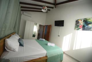 Le Papillon Tropical , aile droite - 6