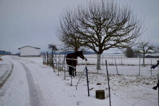 Große Ferienwohnungen in Franken - Familienfreundlich - mit Zuganbindung - Meeder - 8