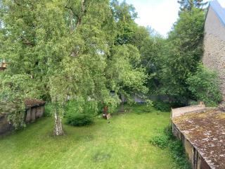 Cozy apartment near Kalamaja park - 7