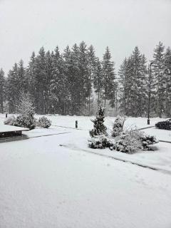 Maison Poluc - Petit Bijou - 1