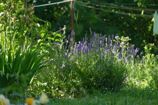 B&B Plitvica Lodge - 5