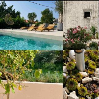 Guest house Noemi - 9