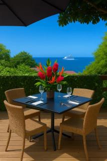 Studio confortable à Bouillante, 56 m², vue mer, jardin clos. - 3