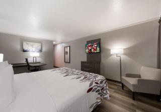 Red Roof Inn Madisonville - 9