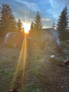 Adriana Phoenix's Bird - Horezu - 3