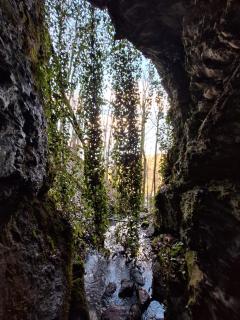 Pielachtal, Familiy & Friends Appartement - 1