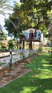 The 9th planet "Ecoliving Cult" - 3