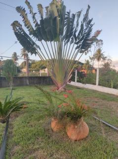 Chácara Velho Chico - in the city - near the river - 3