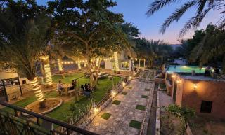 The 9th planet "Ecoliving Cult" - 8