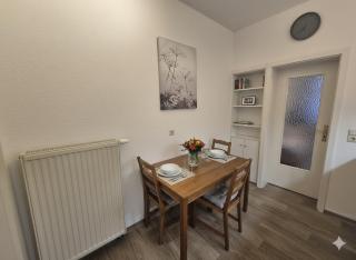 Komfortable Ferienwohnung zentrumsnah in Zwickau - Zwickau - 1