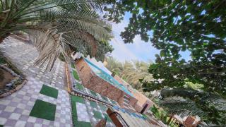 The 9th planet "Ecoliving Cult" - 3