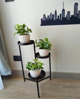 Santiago Patrimonial Santa Ana Compañia - 2