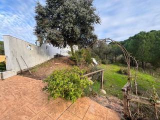 Jaén Interior El Lentisquillo - 2